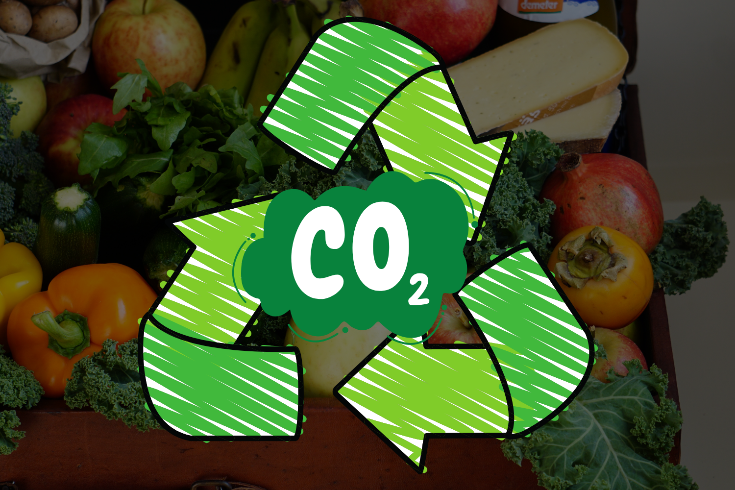 How Carbon Credits Can Fuel Food Rescue and Fight Climate Change